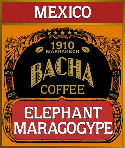 bacha-single-origin-elephant-maragogype-loose-coffee-beans
