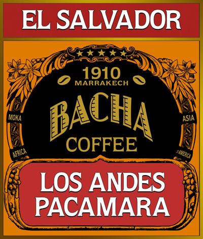 bacha-single-origin-los-andes-pacamara-loose-coffee-beans