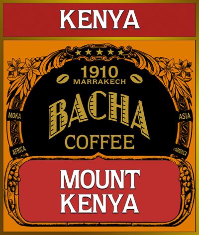 ケニア | マウントケニア コーヒー | シングルオリジン | Bacha Coffee